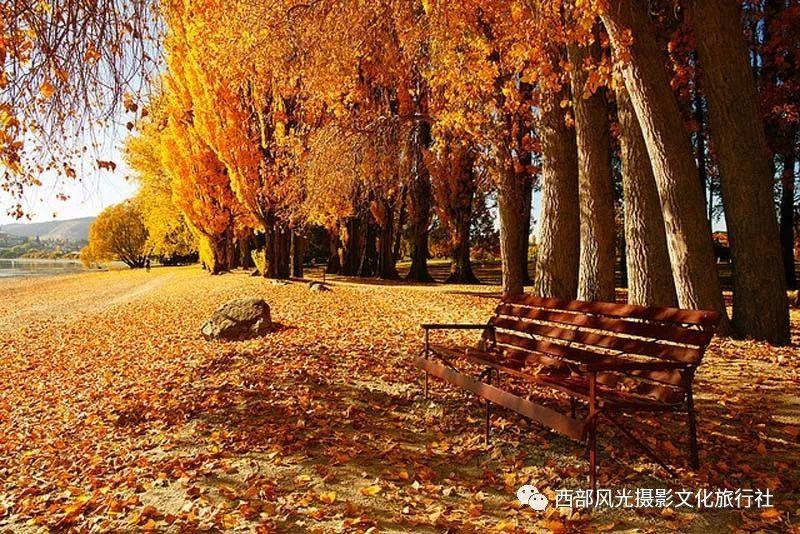 非洲黑人超模,曾被性侵、割礼、逼婚,却活出璀璨人生