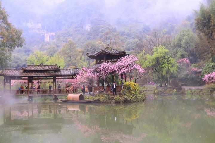 厉害了我的巧虎7