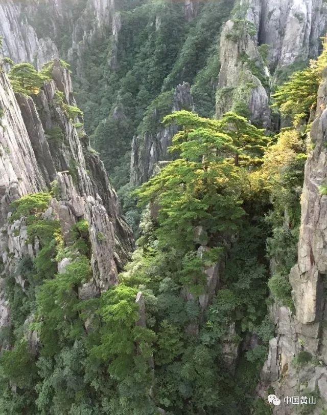 “十四冬”，倒计时29天！