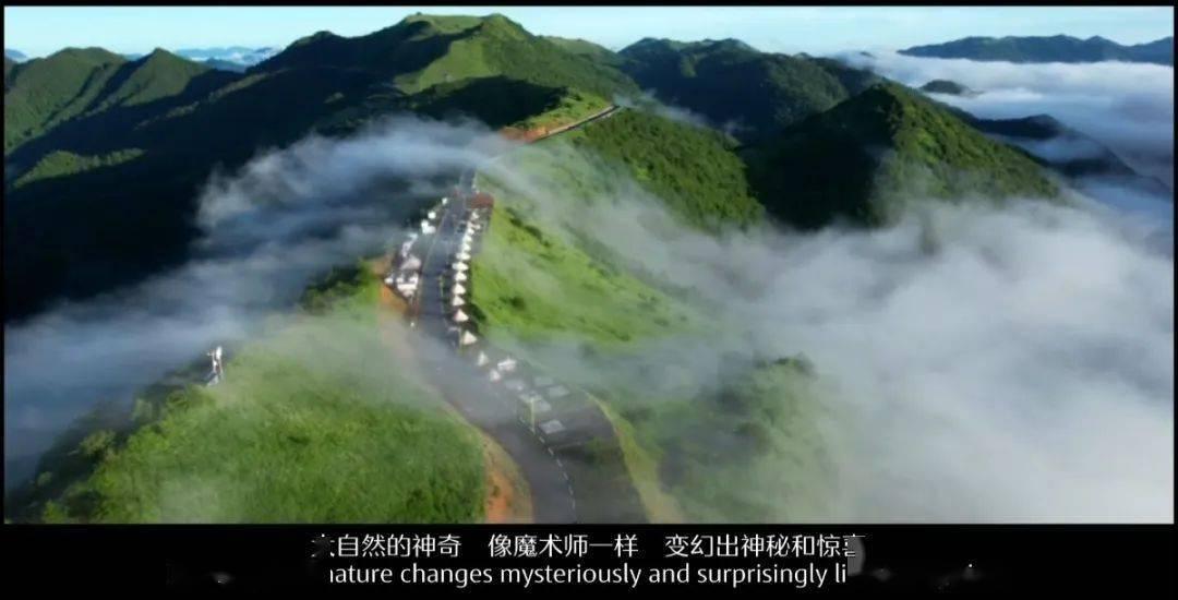 我市启动生活必需品应急保供工作